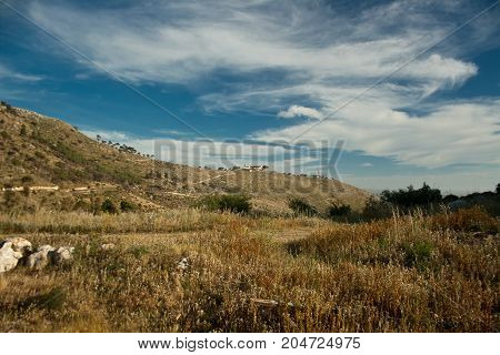 A typical spring landscape on a hill of Trapani a sicilian city