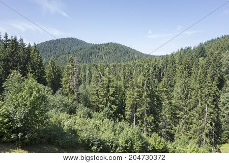 The Schluchsee Lake In The German Black Forest