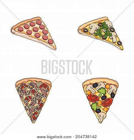 A slice of pizza with different ingredients. Different pizza set collection icons in cartoon style vector symbol stock illustration .