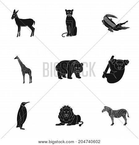 Ostrich emu, crocodile, giraffe, tiger, penguin and other wild animals. Artiodactyla, mammalian predators and animals set collection icons in black style vector symbol stock illustration .