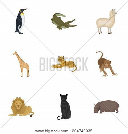 Ostrich emu, crocodile, giraffe, tiger, penguin and other wild animals. Artiodactyla, mammalian predators and animals set collection icons in cartoon style vector symbol stock illustration .
