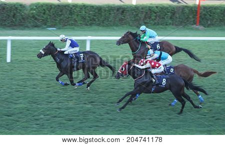 Istanbul Horse Race