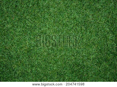 artificial grass green texture background for apply work.