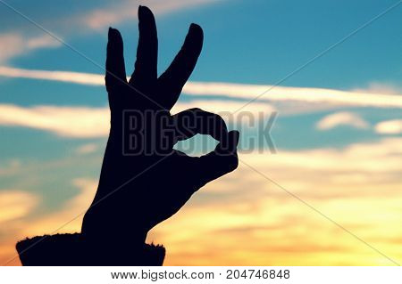 a woman giving an ok sign at sunset.