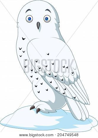 Vector illustration of Cartoon arctic owl isolated on white background