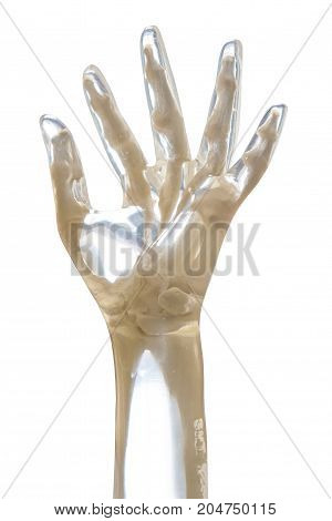 X-Ray Phantom hand transparent isolated on white background.