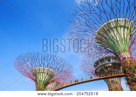 Unidentified Tourist Visited Skyway Of Gardens By The Bay At Singapore