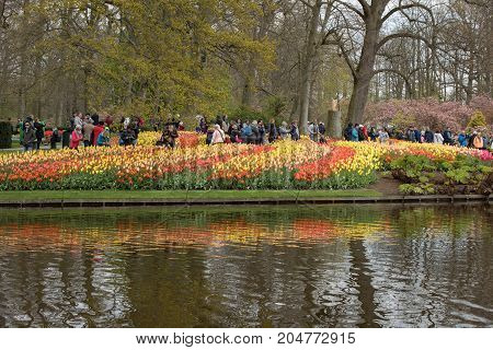 LISSE NETHERLANDS - APRIL 19 2017: Visitors at the Keukenhof Garden in Lisse Holland Netherlands.