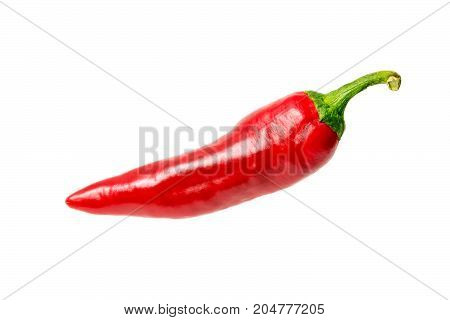 Red hot chili pepper isolated on white background. Spice for a delicious meal.