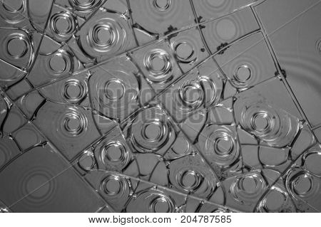 microscopic detail of some dried egg white in grey back