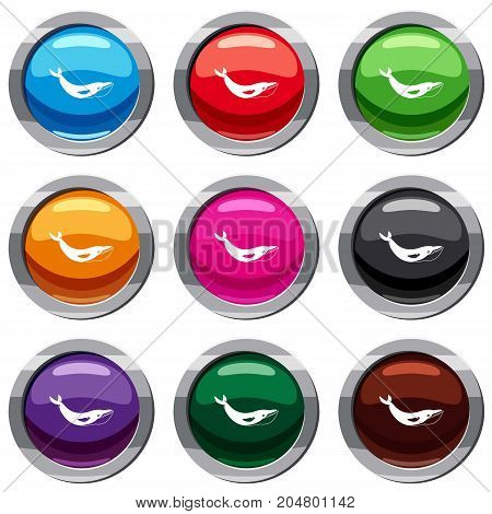 Whale set icon isolated on white. 9 icon collection vector illustration