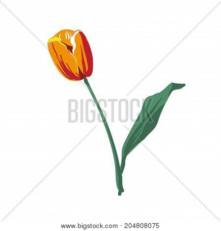 Realistic Flower Tulip. Tulip in Vector eps10 stock emroidery