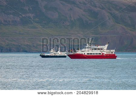 Whale Watching Safari Boats Kunsull And Holmasol