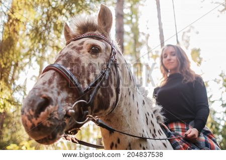 Beautiful girl riding a horse in countryside. Horse is white in brown spots.