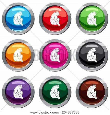 Orangutan set icon isolated on white. 9 icon collection vector illustration