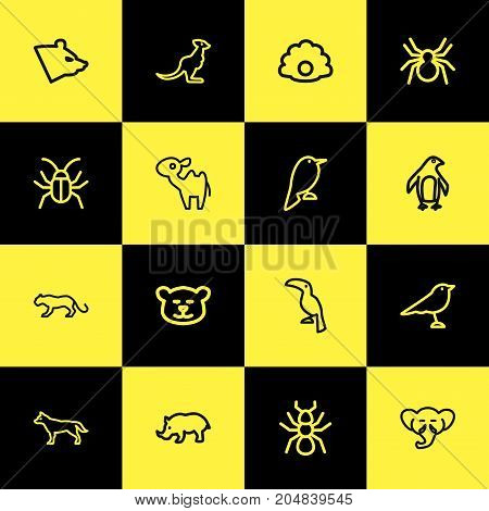 Set Of 16 Editable Zoo Outline Icons. Includes Symbols Such As Catbird, Proboscis, Rhinoceros And More