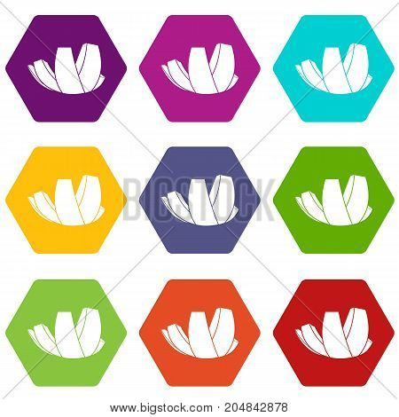 ArtScience Museum in Singapore icon set many color hexahedron isolated on white vector illustration