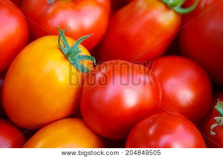 Fresh red tomatoes background. Group of tomatoes