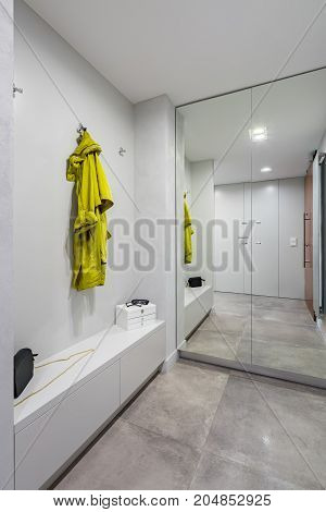 Entryway With Mirrored Wardrobe