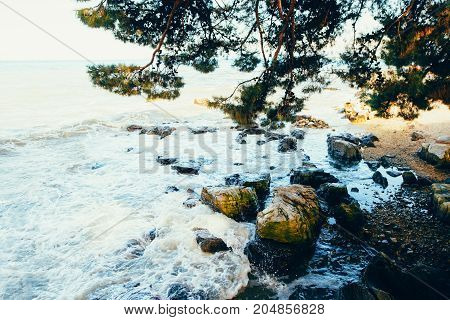 Sea Coast. Sea View. The Stony Coast Of The Adriatic Sea