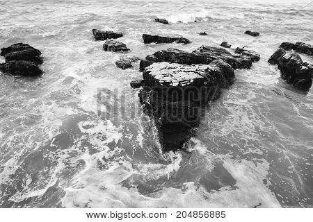 Sea Coast. Sea View. The Stony Coast Of The Adriatic Sea