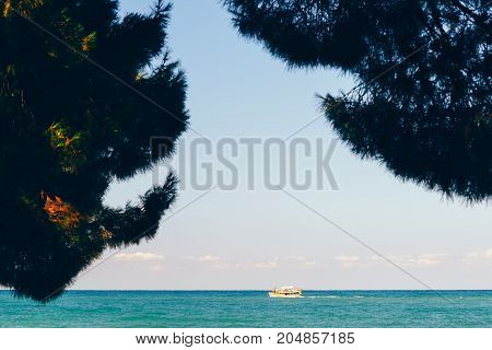 Sea. Sea coast. Sea view. The stony coast of the Adriatic Sea
