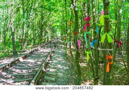 The Ribbons On The Trees