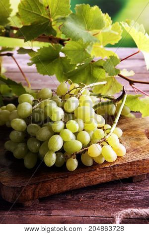 Grapes on wooden table and grape leaves . Healthy fresh fruit wine grapes.