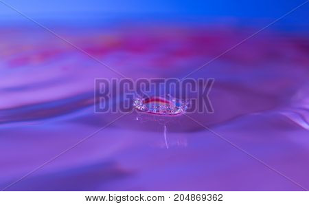 Macro water drop purple and blue colors