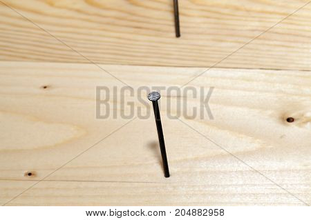 Two Nails With Which A Pine Floorboard Is Nailed. Photo Close-up, Focus On The First Nail, Which Is 