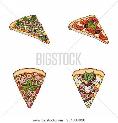 A slice of pizza with different ingredients. Different pizza set collection icons in cartoon style vector symbol stock illustration .