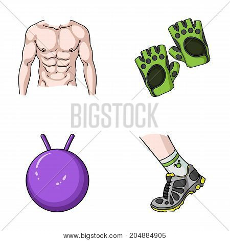 Men's torso, gymnastic gloves, jumping ball, sneakers. Fitnes set collection icons in cartoon style vector symbol stock illustration .