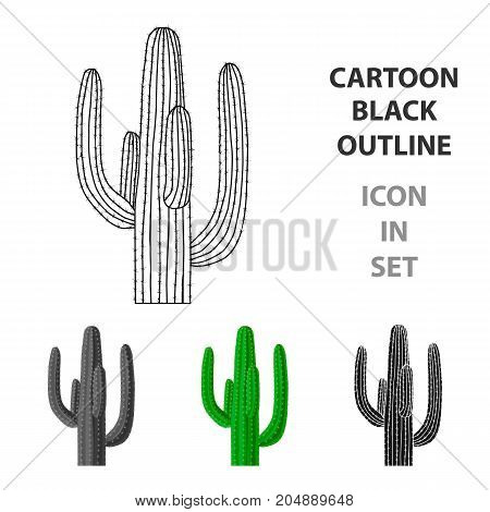 Mexican cactus icon in cartoon style isolated on white background. Mexico country symbol vector illustration.