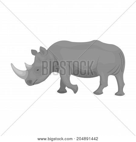 A large Indian rhinoceros. A wild animal, a rhinoceros single icon in monochrome style vector symbol stock illustration .