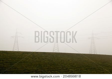 Electric Poles In The Agricultural Field In The Fog. In The Growing Green Grass. Photographed Agains