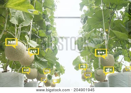 the bubble chat data the detect by futuristic technology in smart agriculture with artificial intelligence to improving yield efficiency and profitability in the farm
