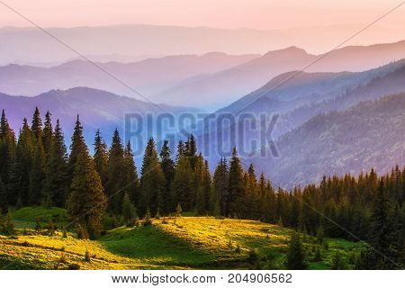 beautiful summer sunrise landscape in the mountains, east Europe travel, Carpathian national park, west Ukraine, beeauty world, wallpaper background landscape