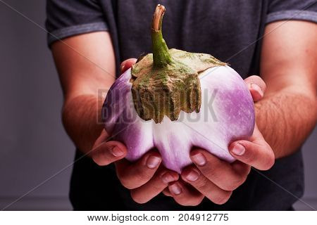 The concept of agriculture. Eggplant in male hands. Healthy Eating.