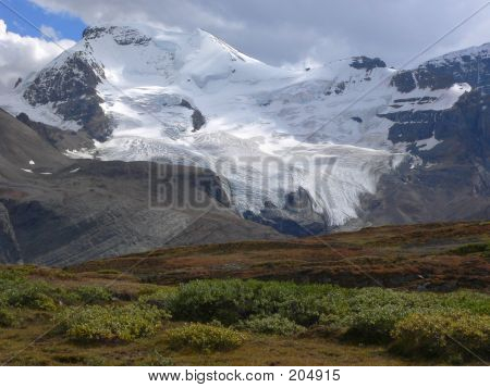Snow Dome montanhas e glaciares