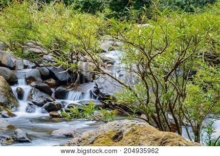Scenery In Khao Sok National Park In Thailand. Khao Sok National Park The Rain Jungle Forest In Sura