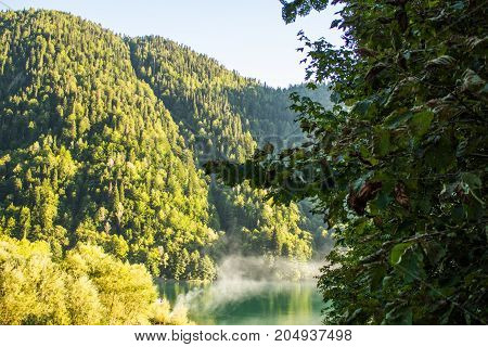 Landscape with mountains and tree in the foreground