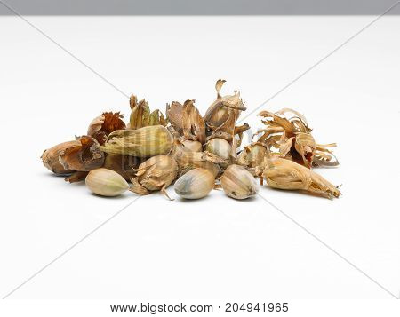 a pile of cob nuts on a white background