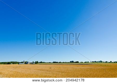 picture of The compressed band on wheat field