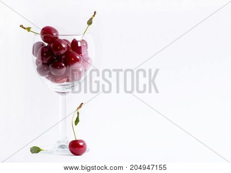 Dark red Cherries in wineglass. Summer berries in glass. Healthy food. White background. Bright photo with copyspace.