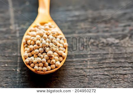 Close up wooden spoon with white peppercorn on dark background