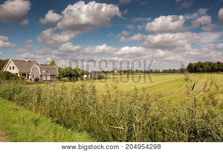 Country Side And Farm View From The Netherlands