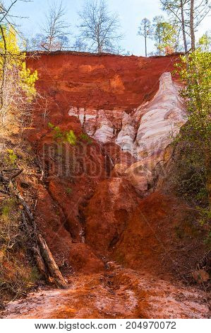 Red loamy wall of Providence Canyon bottom view in sunny autumn day USA