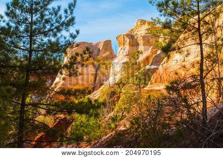 Red loamy wall of Providence Canyon with trees in sunny day USA