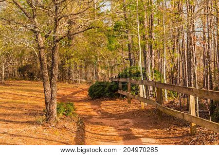 The footpath with fence and thicket in the Providence Canyon State Park in sunny autumn day Georgia USA