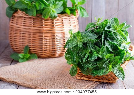 Fresh mint on wooden background. Selective focus
